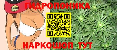 шишки Рязань