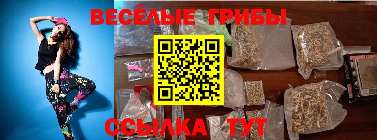 Псилоцибиновые грибы мухоморы  Псилоцибиновые грибы GOLDEN TEACHER  Пыть-Ях  Вход с VPN 